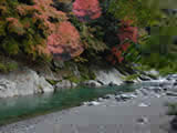 紅葉の福士川