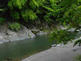 新緑の福士川